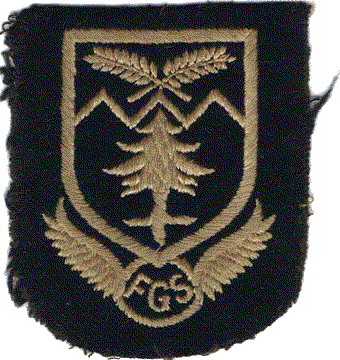 Blazer badge