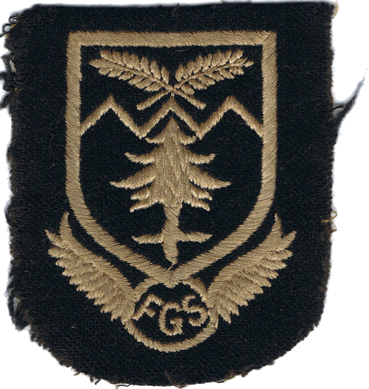 Blazer badge